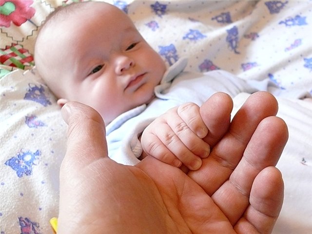 Количество УЗИ при беременности (когда? где? как часто?)